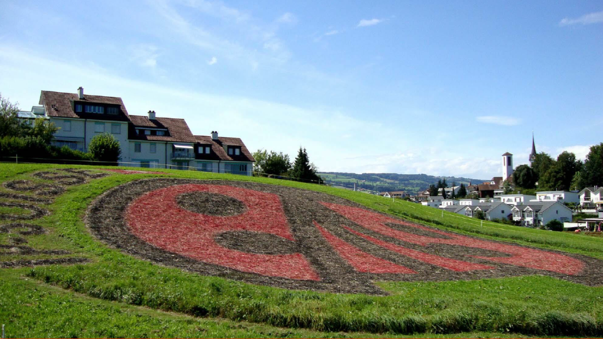 Beratenden-Schulungen IP-SUISSE November 2022 