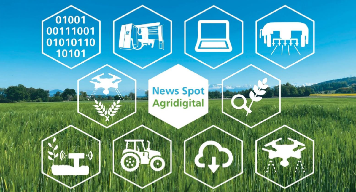 4. News Spot Agridigital 