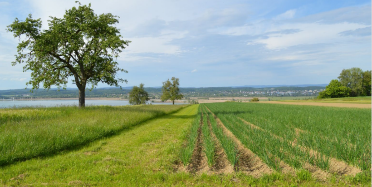 AUSGEBUCHT: Landwirtschaft verstehen Basismodul 