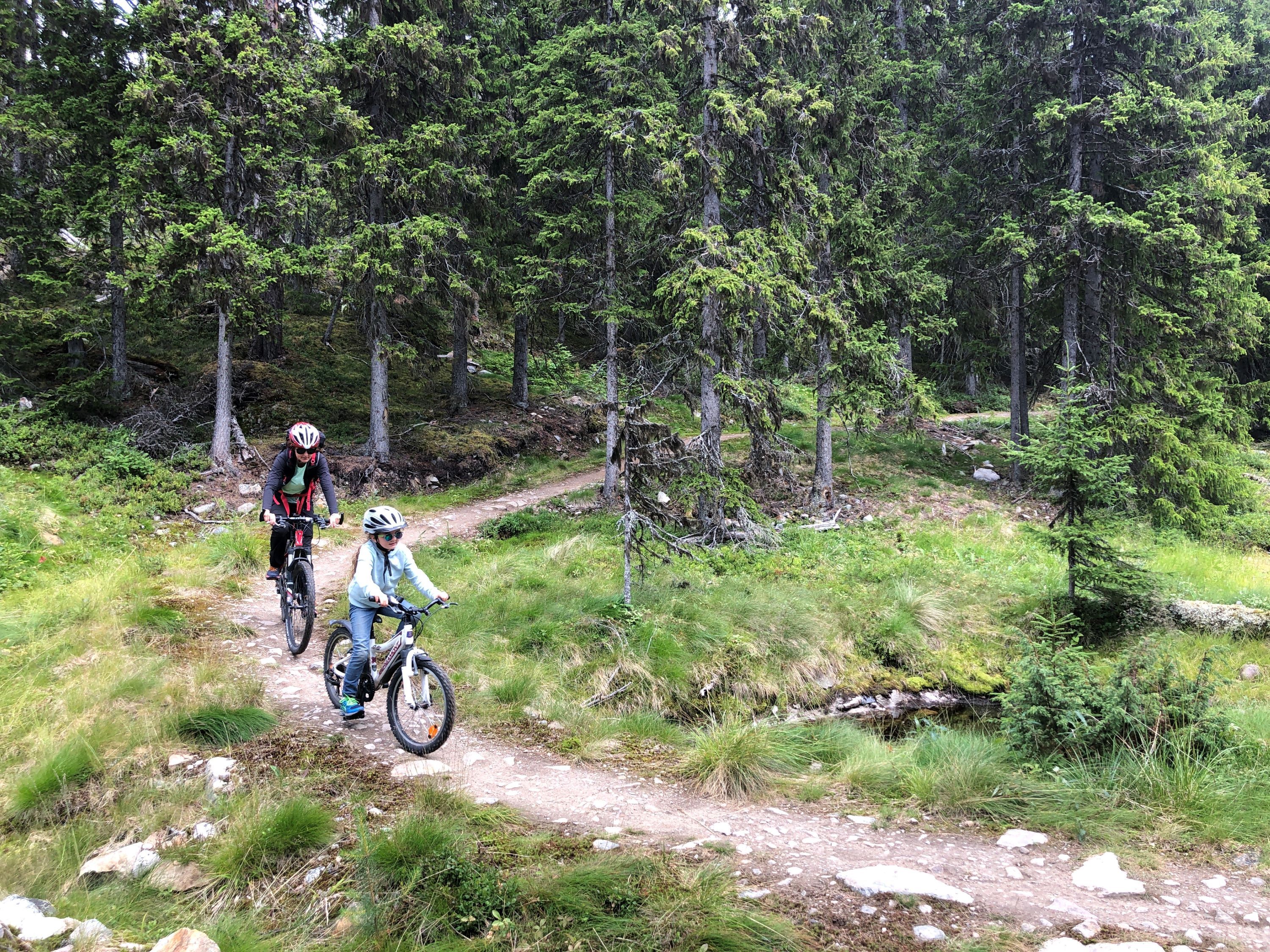 Natural Bike Trail Marbach