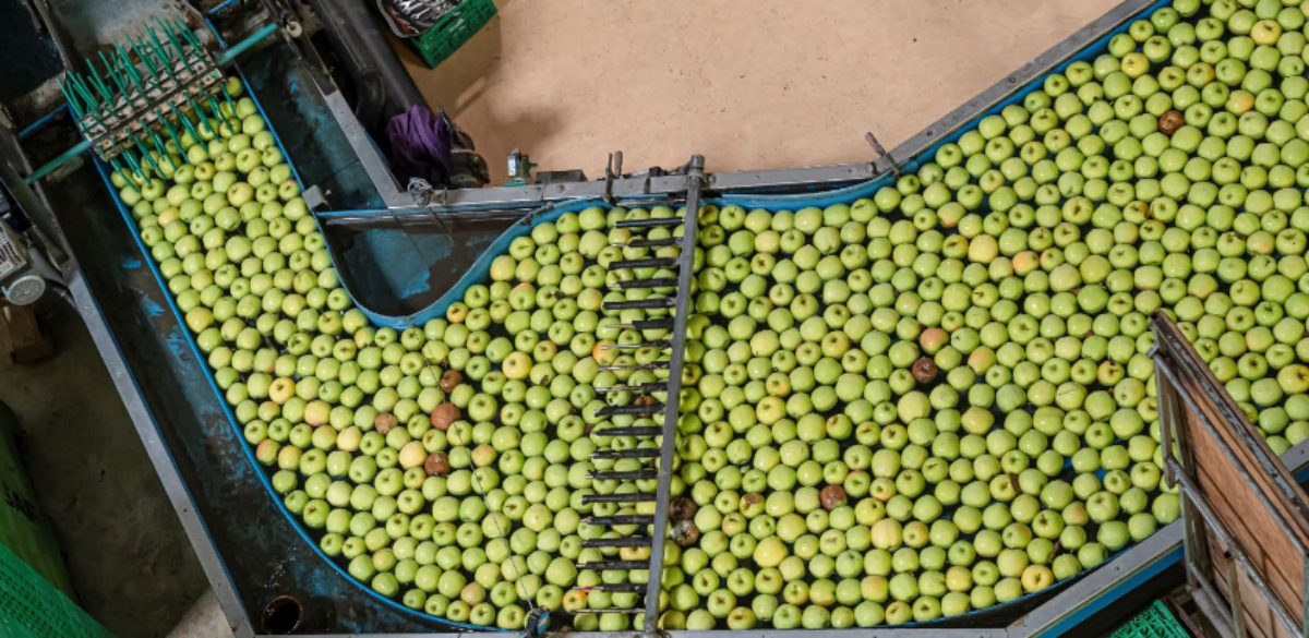 Innovative Agro-Food-Wertschöpfungsketten