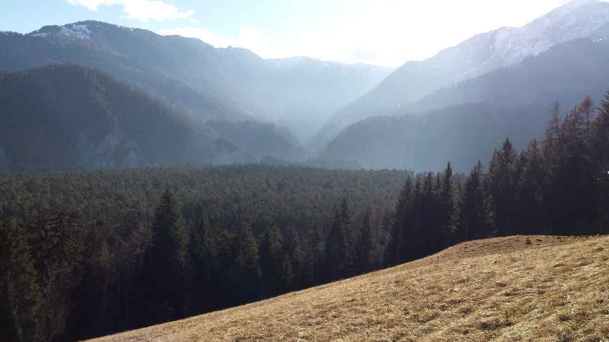 Interreg Alpenraum: Online-Informationsveranstaltung