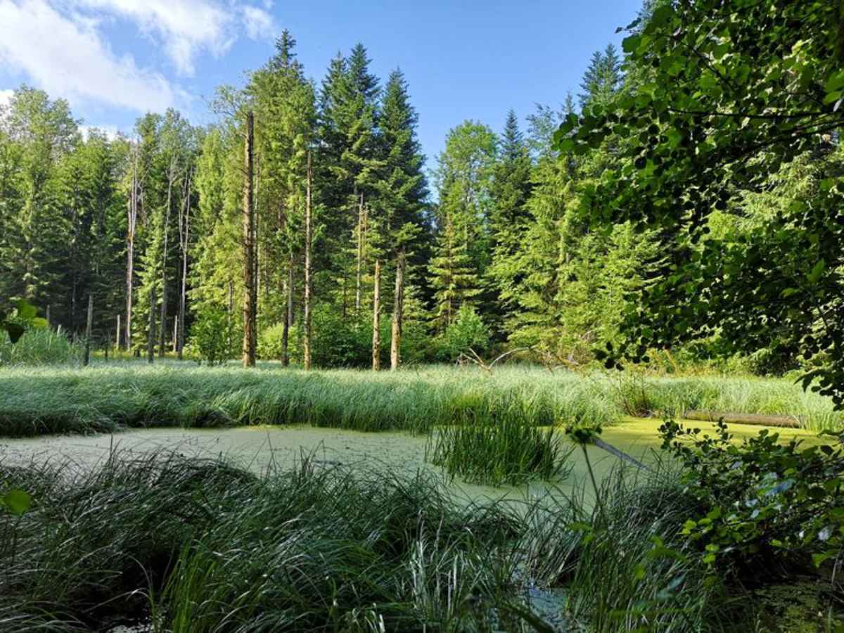 5. Tagung Parkforschung 