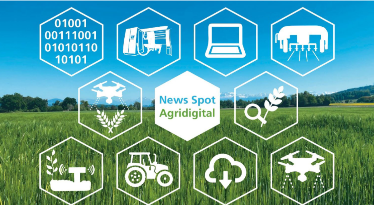 5. News Spot Agridigital