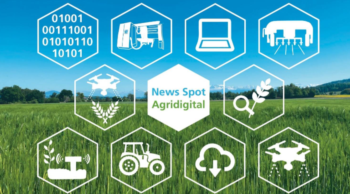 News Spot Agridigital