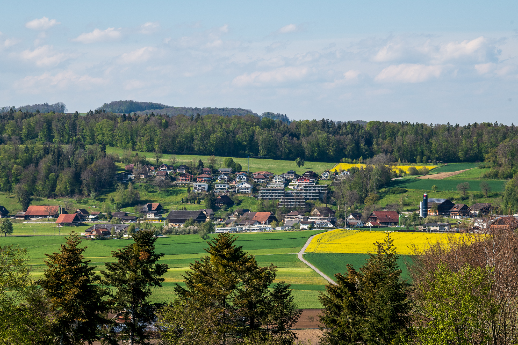 Analyse und Strategie Zukunft Dorf Mauensee