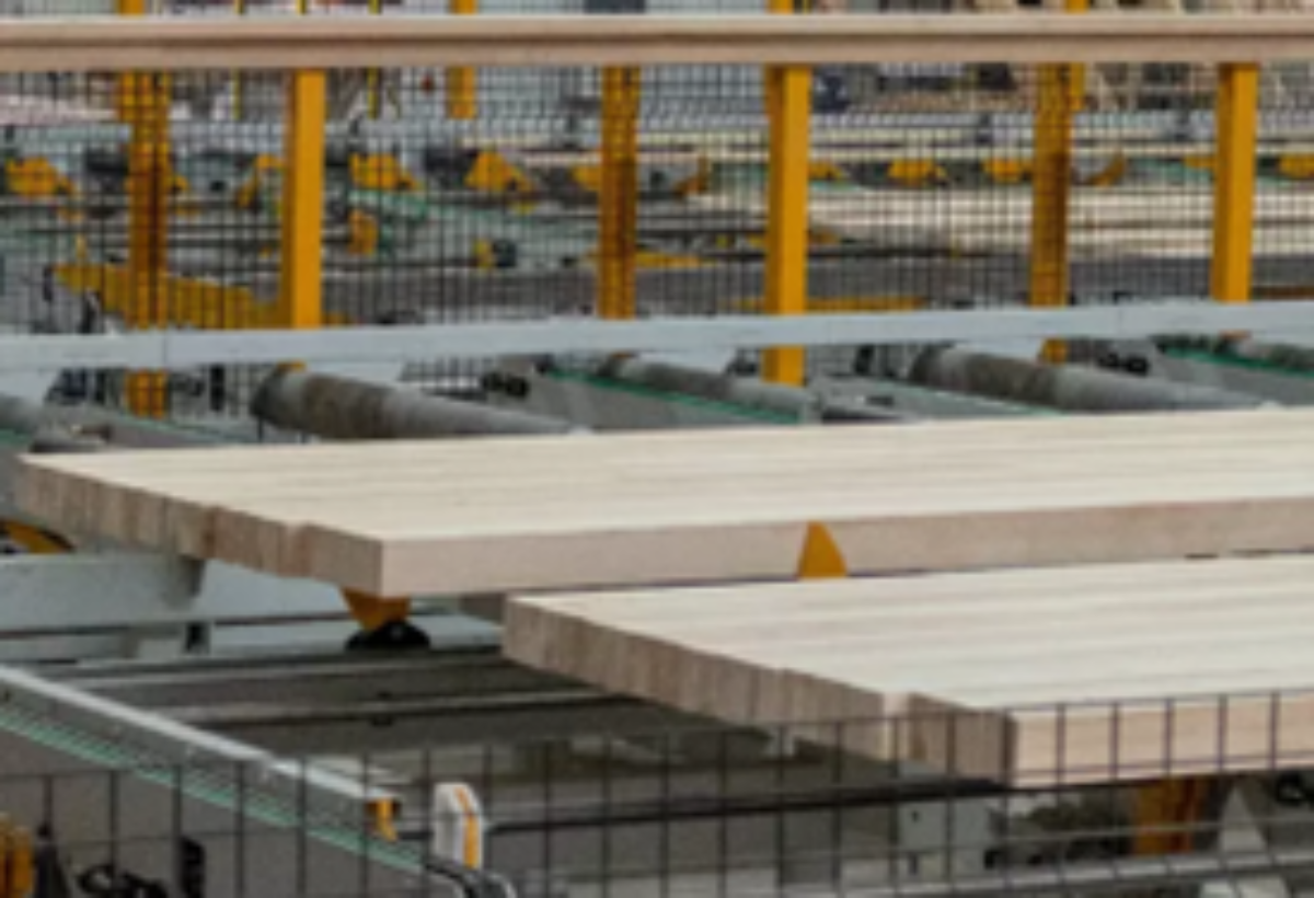 FAGUS SUISSE SA - Fase «Avvio»