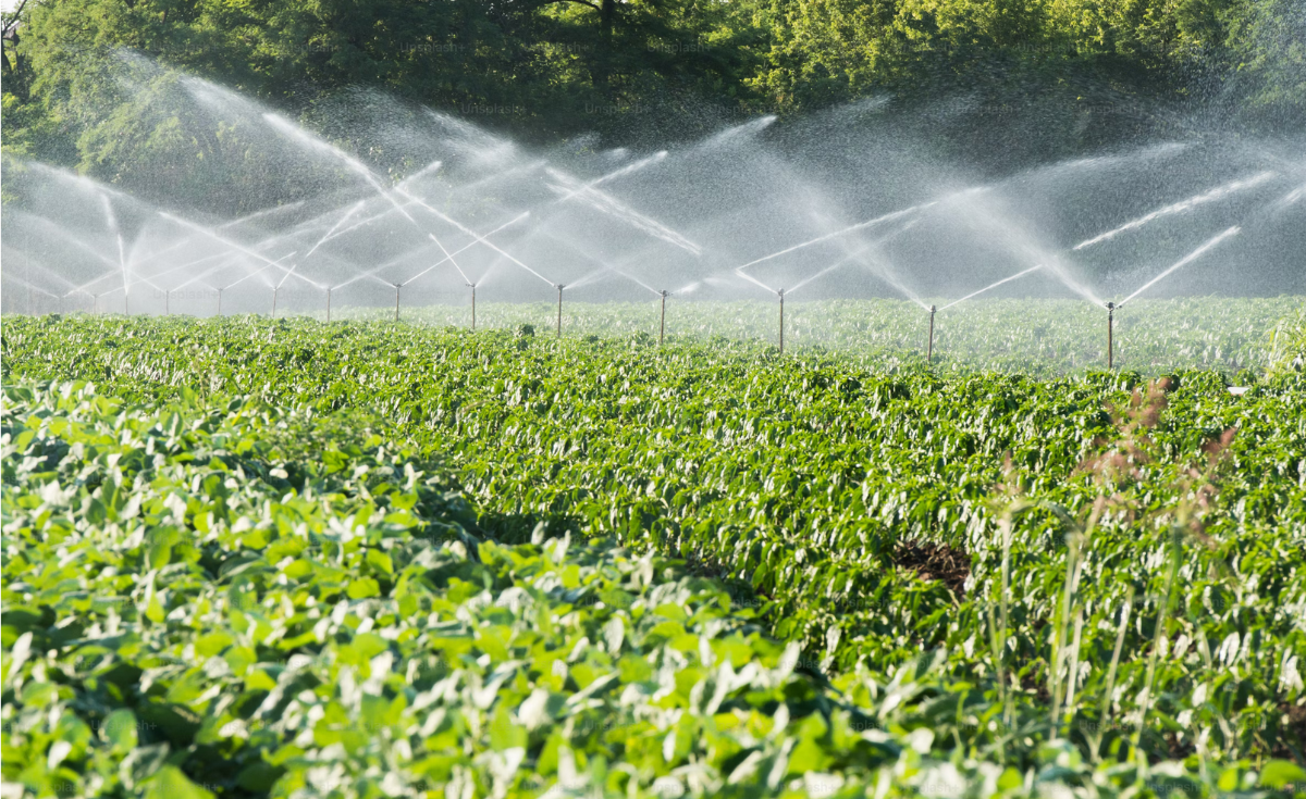 Gründungsversammlung Forum nachhaltiges Wassermanagement in der Landwirtschaft