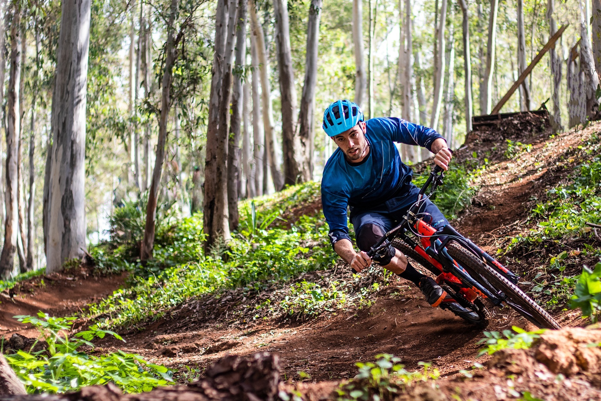 Biketrails Haselwartwald