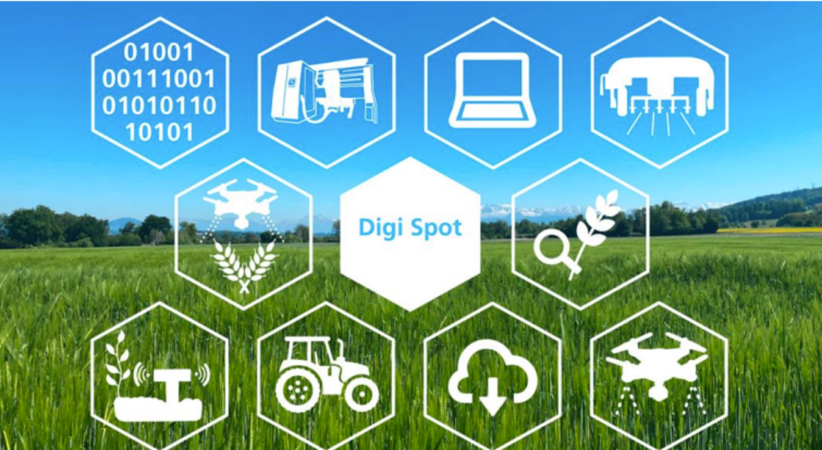 1. Digi Spot: Neueste Entwicklungen in der Digitalisierung