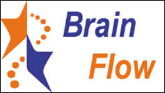 Brain Flow (Progetto NPR da 2010 a 2014)