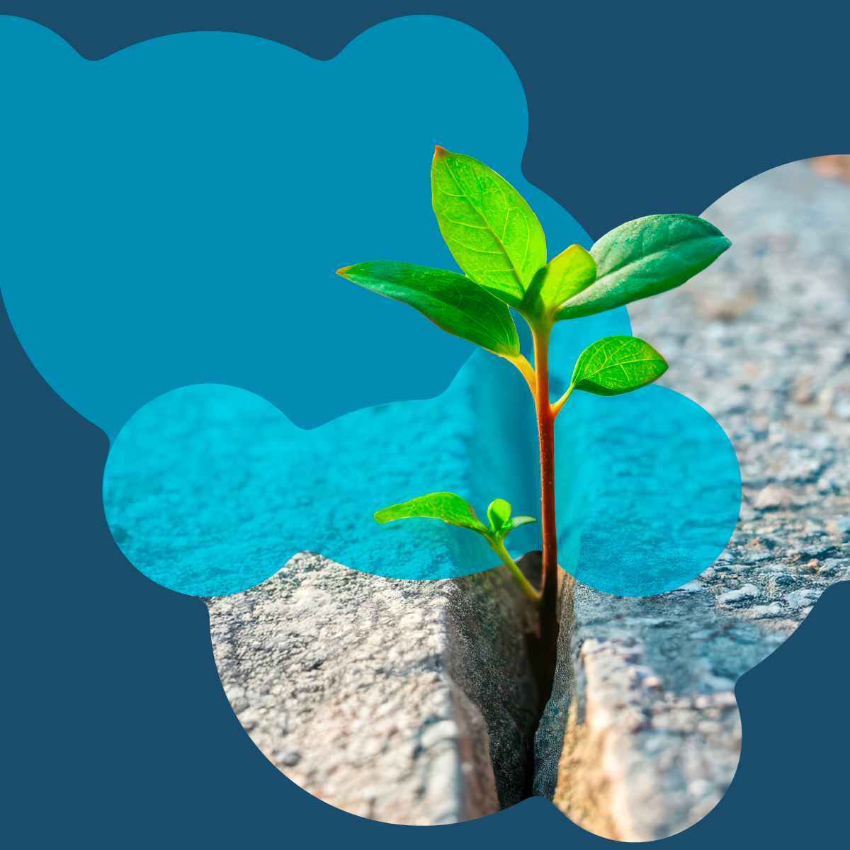 Webinar Förderprogramm Adapt+