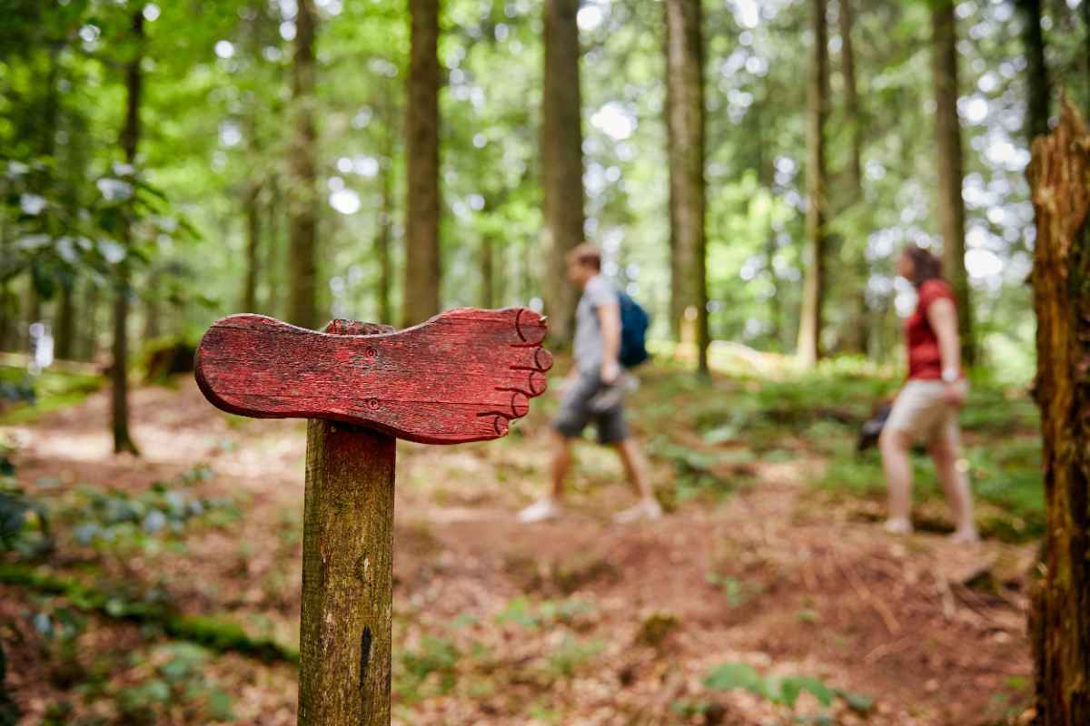 Attraktives Orientierungsdesign für Besucher der UNESCO Biosphäre Entlebuch (UBE)