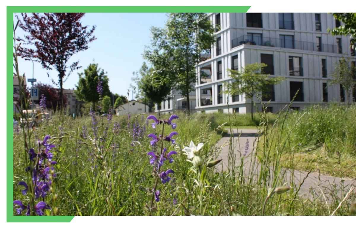 Klimaresiliente Gemeinden: Naturnahe Lösungen für mehr Lebensqualität