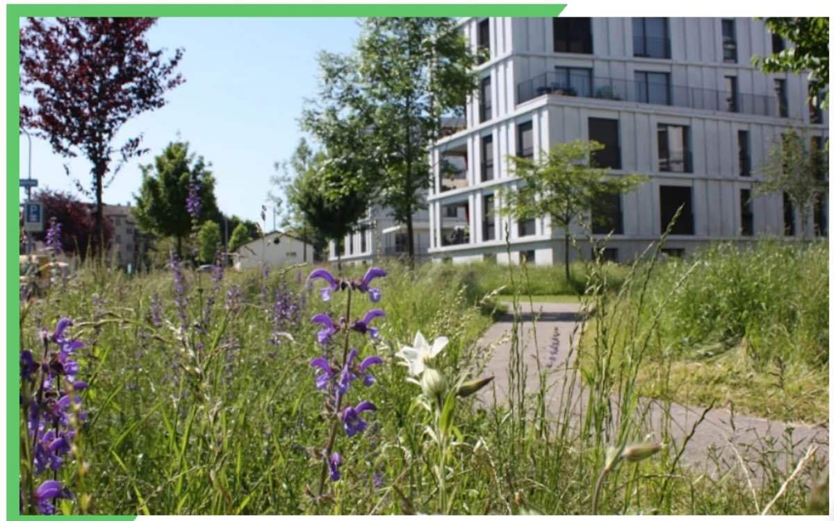 Enjeux climatiques et de biodiversité pour les communes