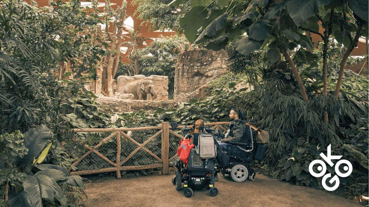 Iniziativa OK:GO: come rendere disponibili per tutti le informazioni sull’accessibilità delle offerte turistiche svizzere