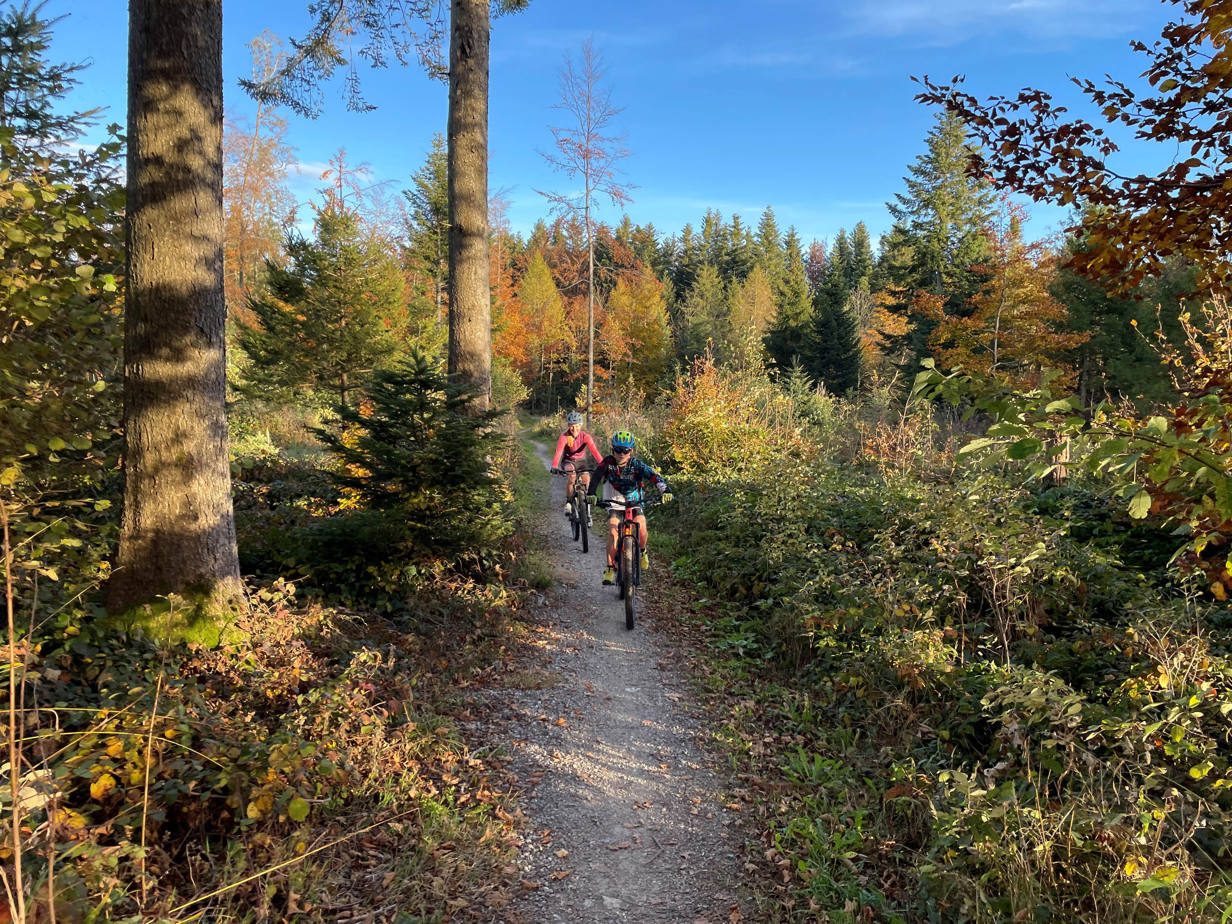 Mountainbikeangebot Lindenberg
