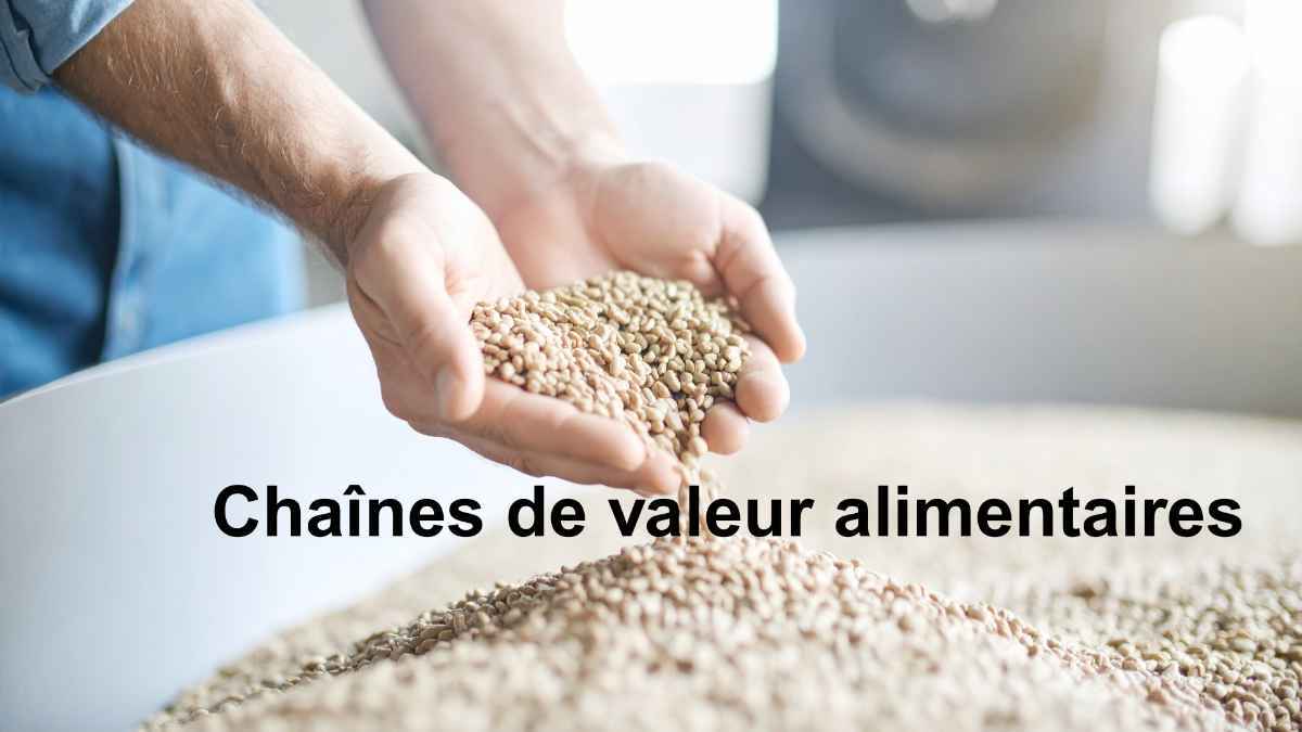 Plateforme d’échange – Économie circulaire «Chaînes de valeur alimentaires» 