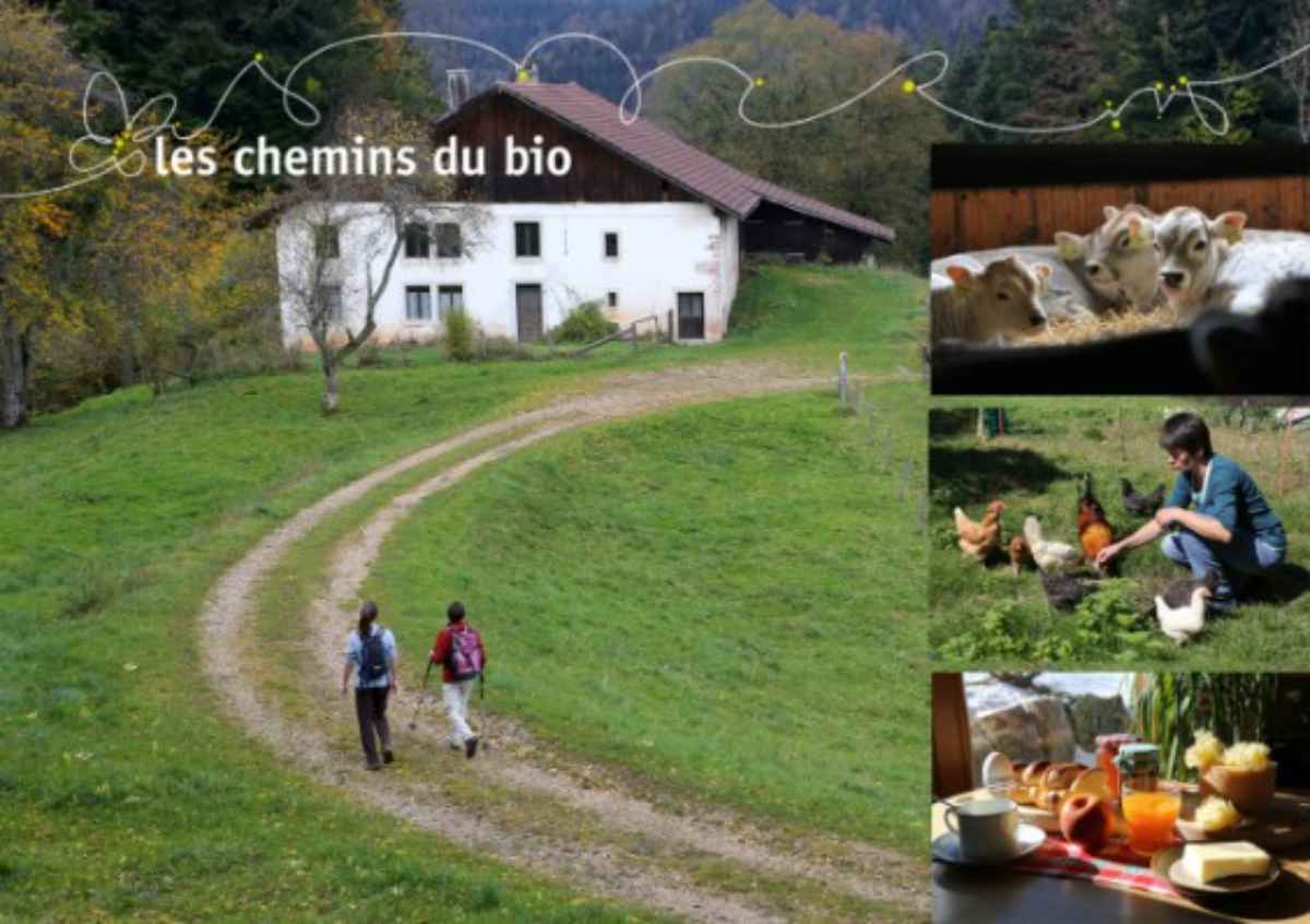 Les Chemins du Bio - un’idea innovativa di agriturismo con escursioni da una fattoria biologica all’altra e un contatto autentico con il mondo agricolo