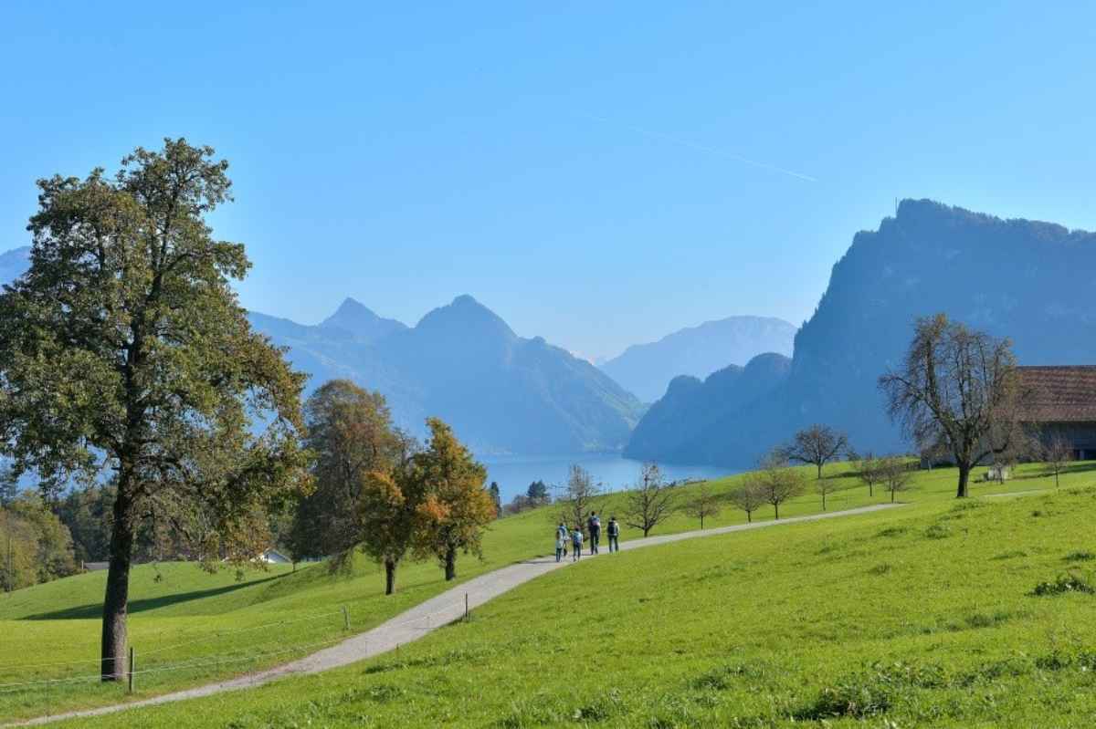 Divulgazione degli standard qualitativi dei bed and breakfast e modello di gestione degli agriturismi svizzeri