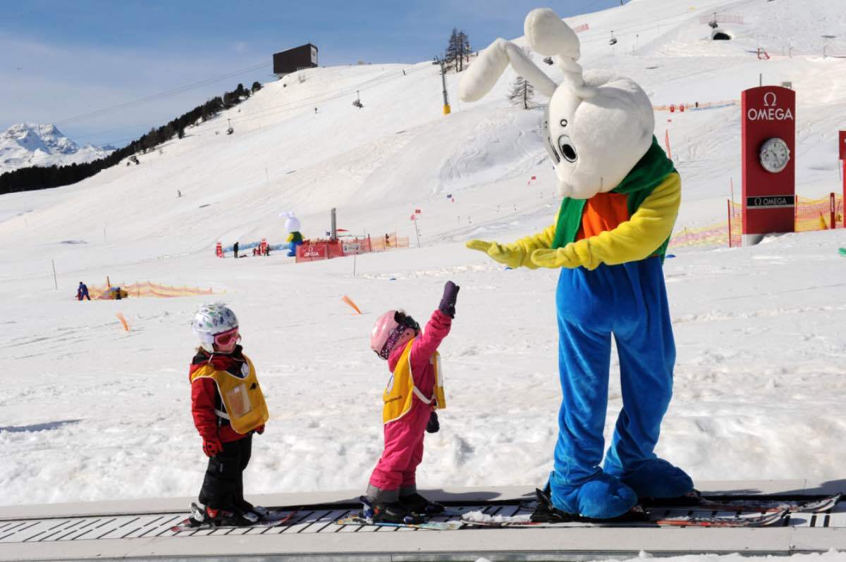 Swiss Snowsports Wissensplattform