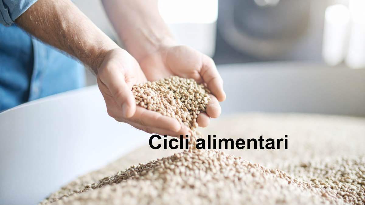 Piattaforma sull’economia circolare nel settore agroalimentare