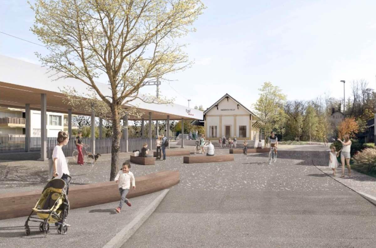 Maison du Vully: étude de faisabilité et conception pour un espace d'accueil multifonctionnel