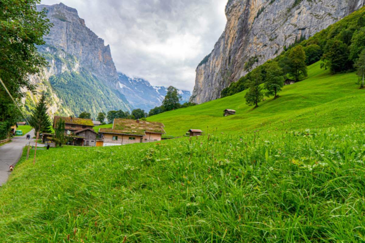 Cradle Alp