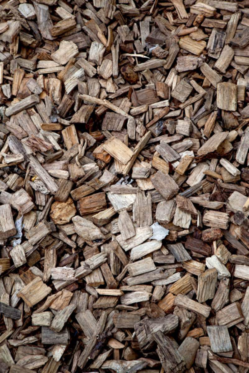 Réalisation d'un couplage chaleur-force alimenté au bois-énergie