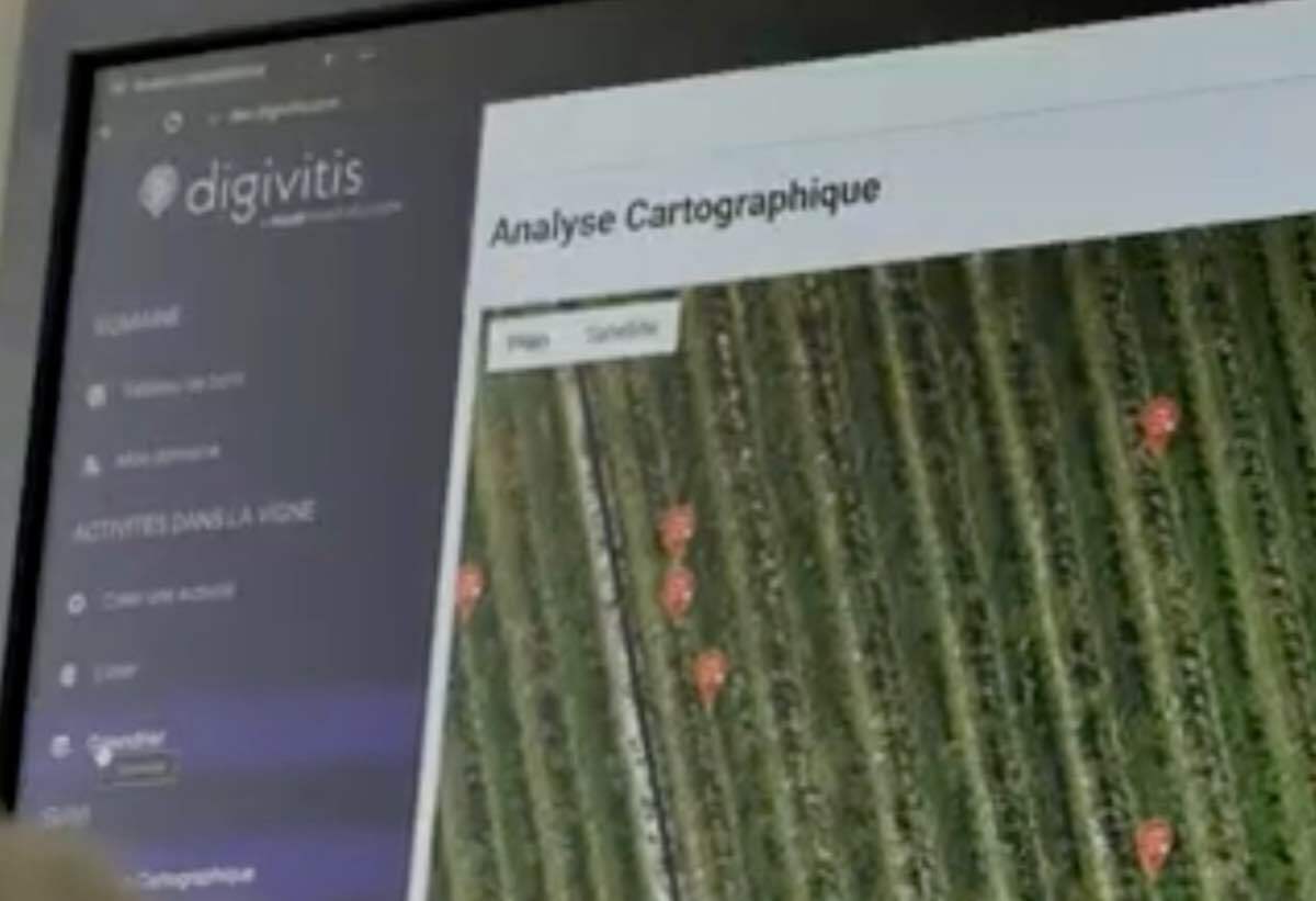 DIGIVITIS - die vernetzte Lösung, die die Verwaltung des Weinbergs revolutioniert