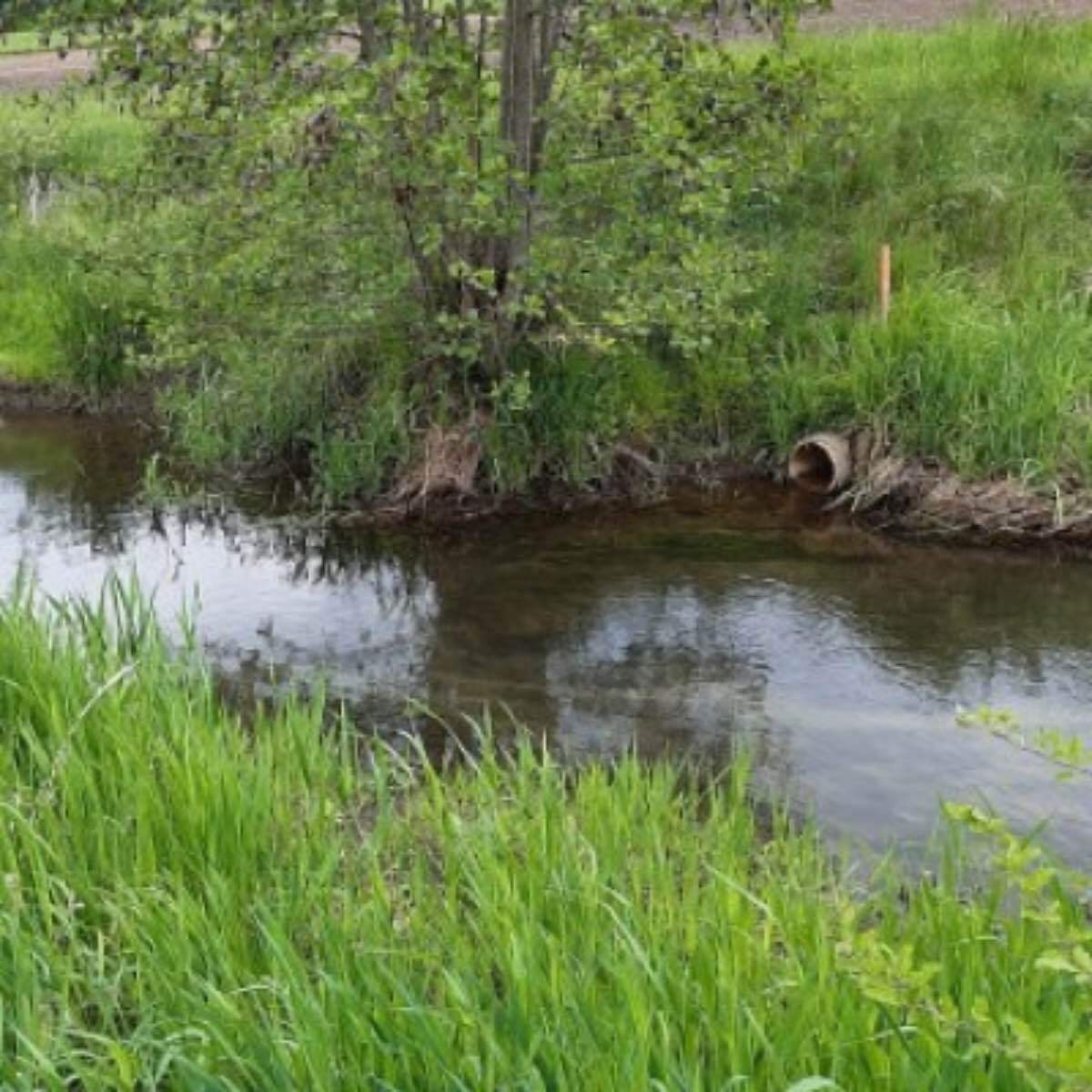 Swiss Water & Climate Program: Wasser in der Landschaft, Antworten auf den Hitzesommer 2026