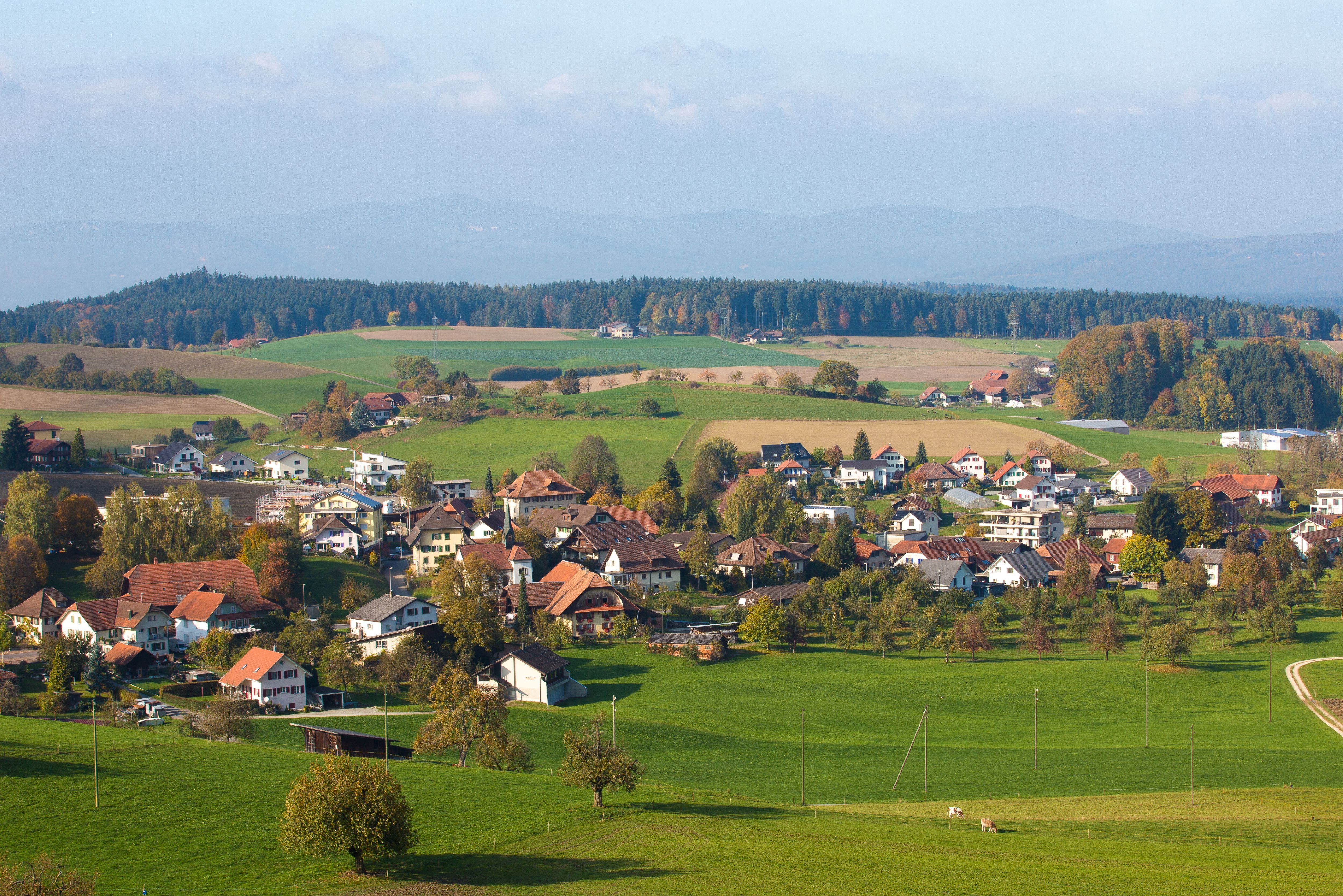 Zukunft Roggliswil