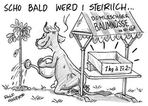 Nussanbau in GR