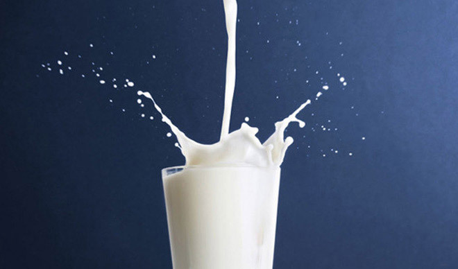 Projekt Milchqualität