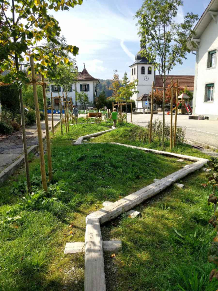 Participation à la création d’espaces ouverts attractifs à Fribourg