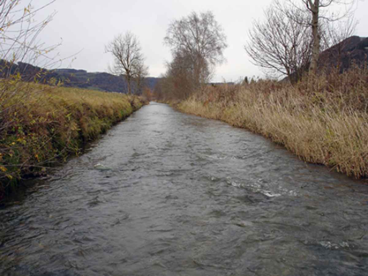 Protection et exploitation des eaux dans la vallée de l’Aar et de la Gürbe