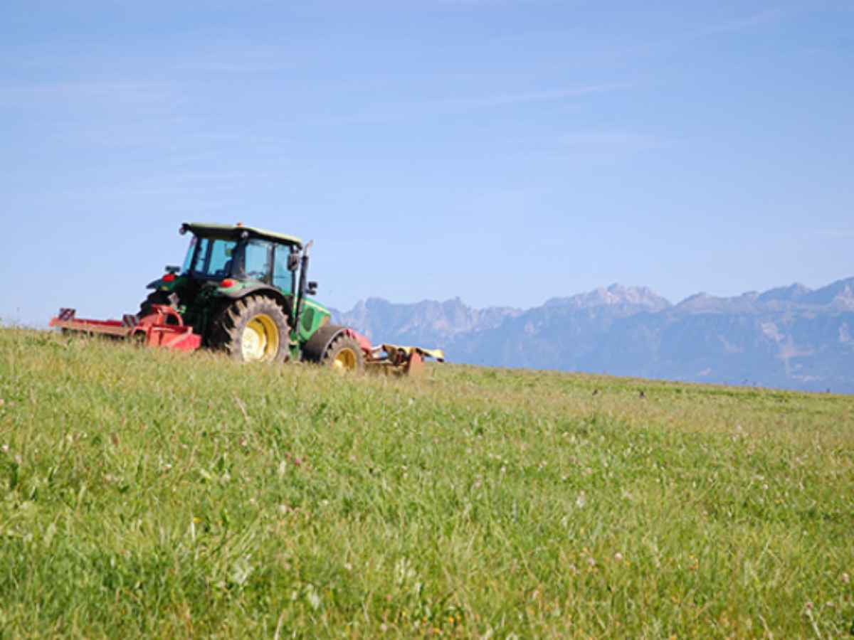 Landwirtschaft und Siedlung im Norden Lausannes
