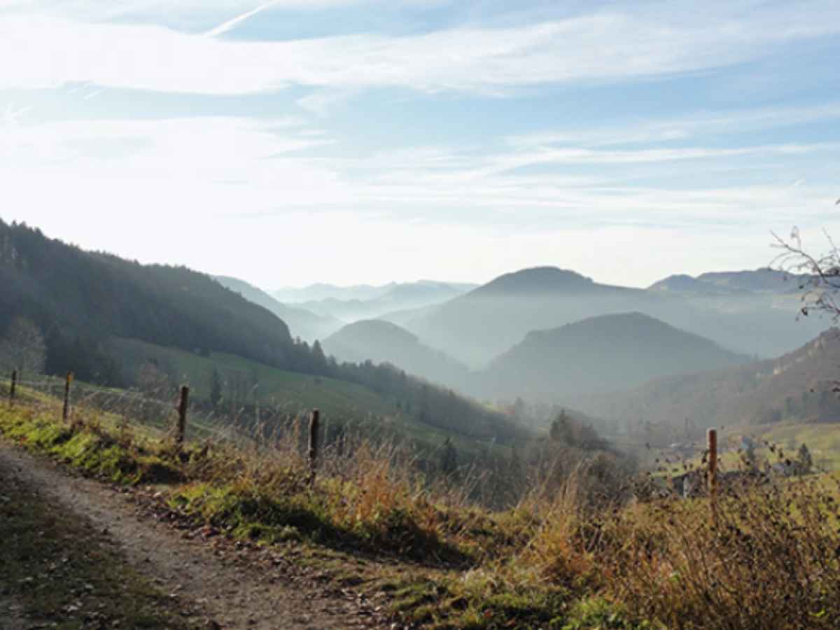 Aufwertung BLN-Objekt 1012 Belchen-Passwang