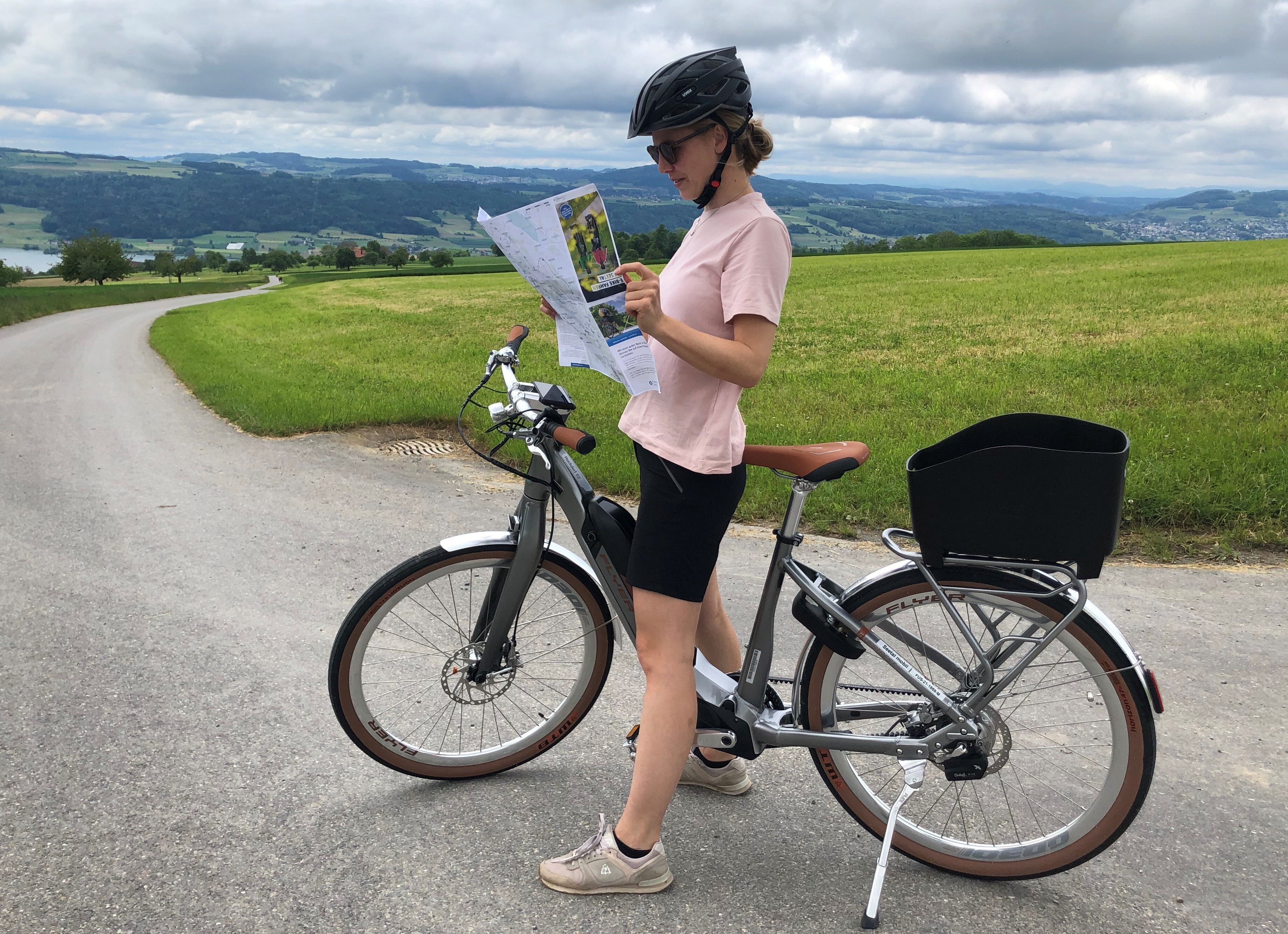 Pilotprojekt Seetal Mobil