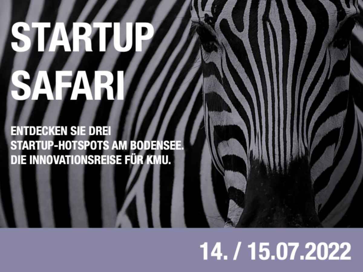Startup Safari