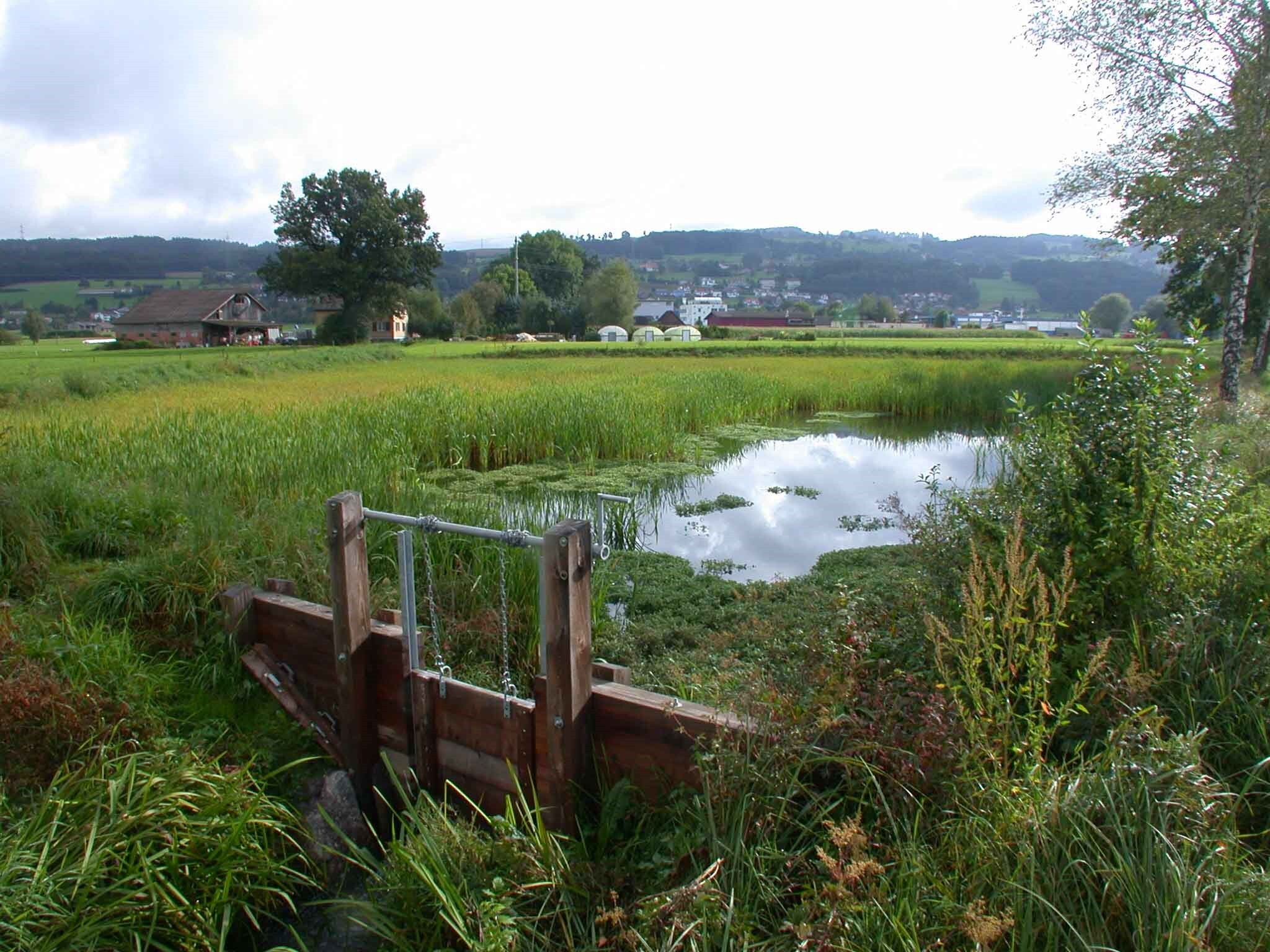 Swiss Water and Climate Forum (Vorprojekt)