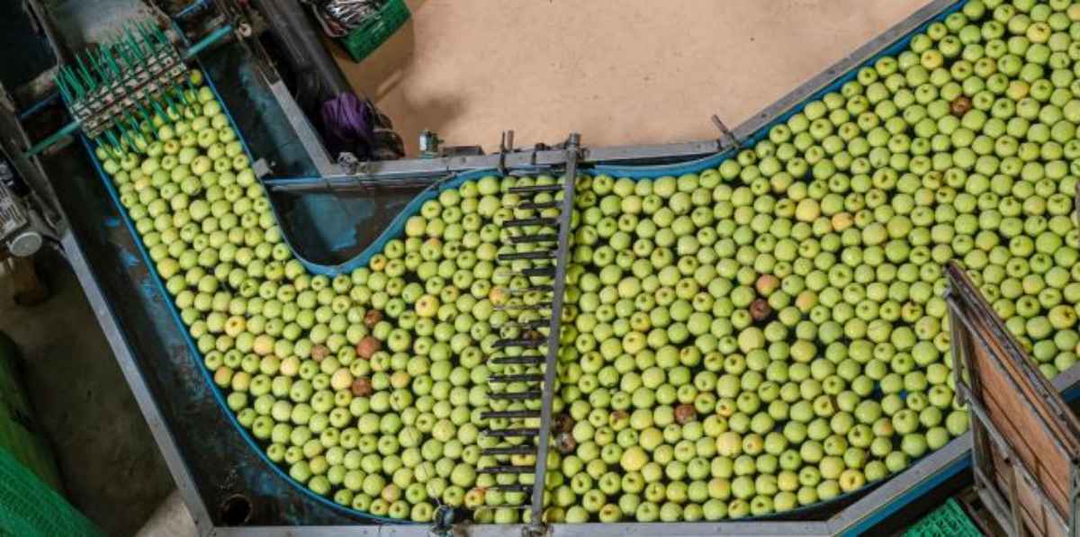 Innovative Agro-Food-Wertschöpfungsketten